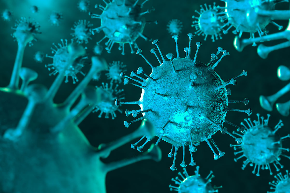 In het water is een virus aangetroffen