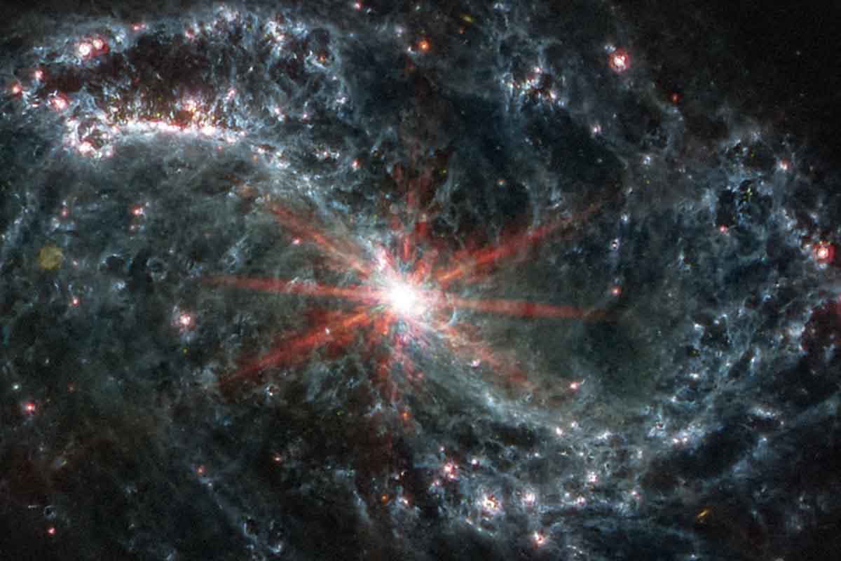 kosmische wijnstok