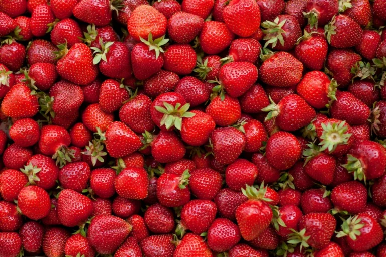 Eet dit soort aardbeien nooit. Gooi ze meteen in de prullenbak als je ze ziet