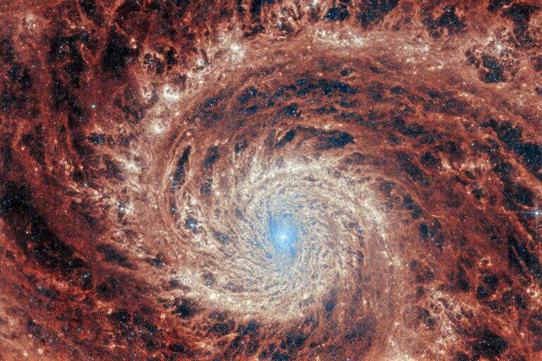 kosmische wijnstok