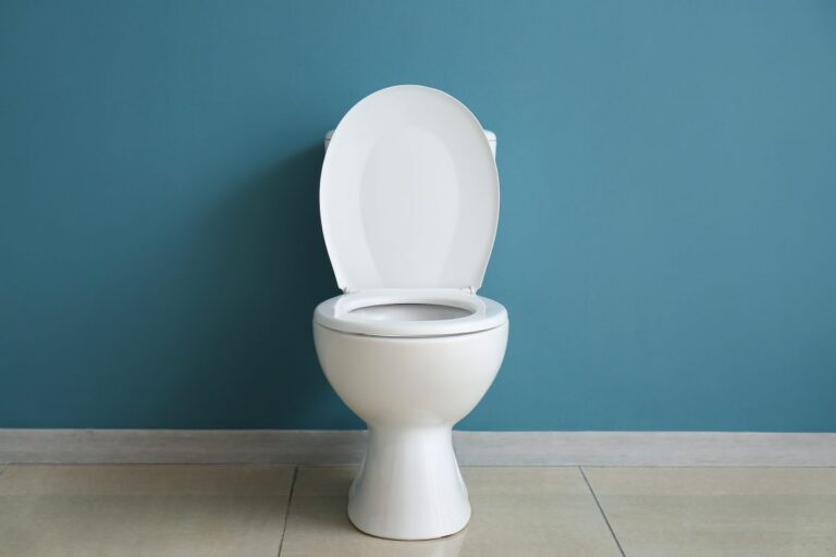 toilet