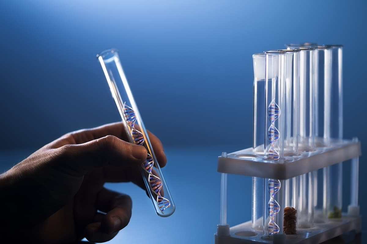 DNA