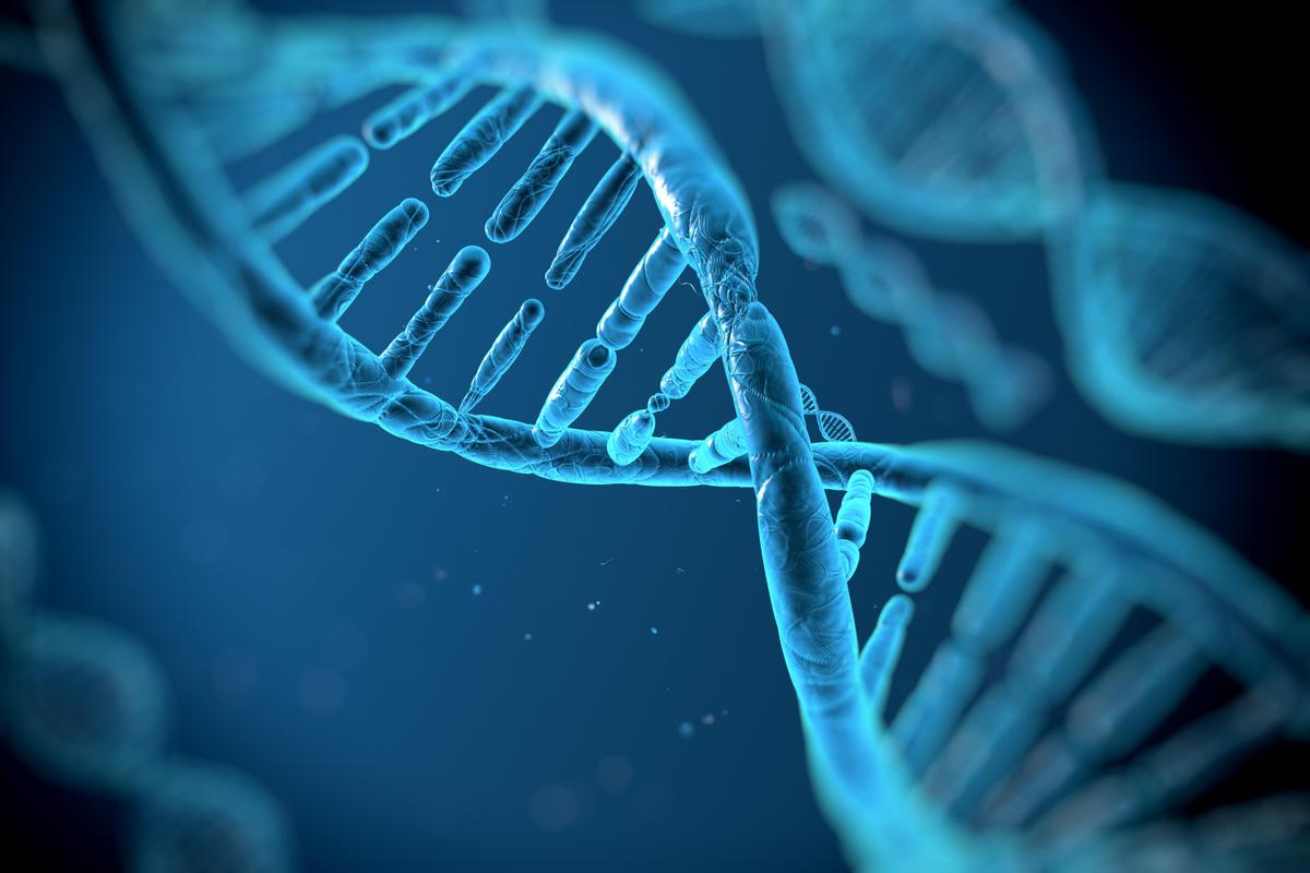DNA