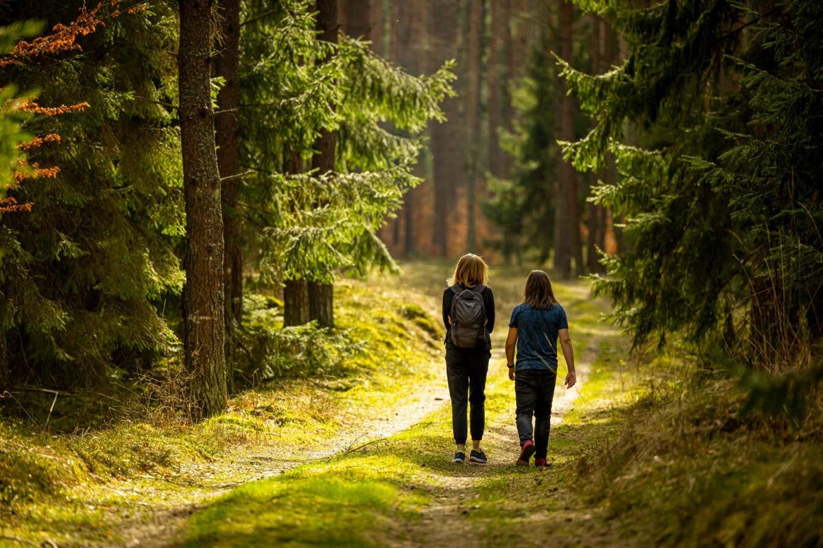 wandelen
