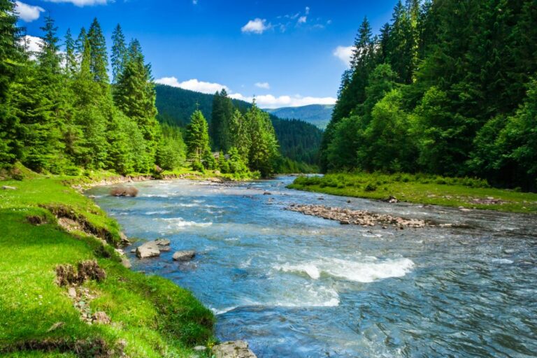 rivier