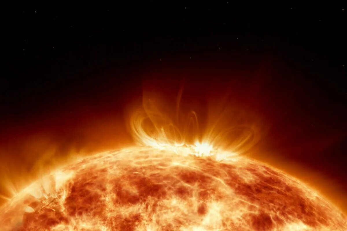 zon