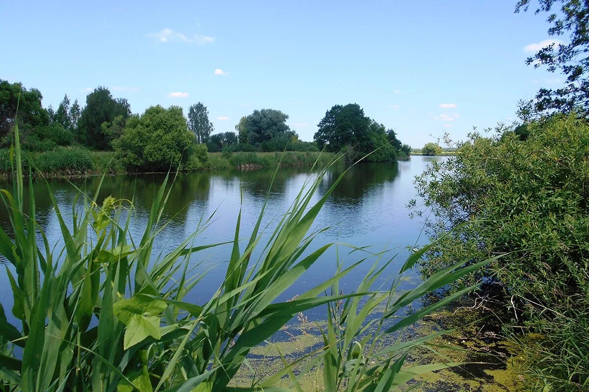 rivier