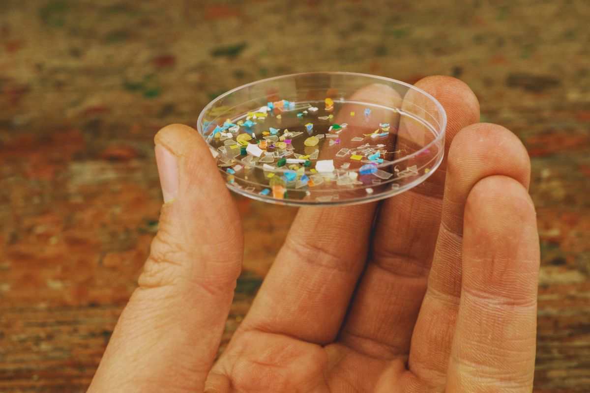 plastic